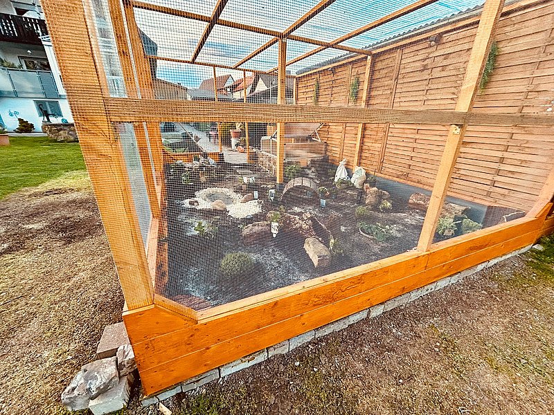 Holzgehege mit Pflanzen und Steinen im Garten, umgeben von Wiese und Gebäuden.