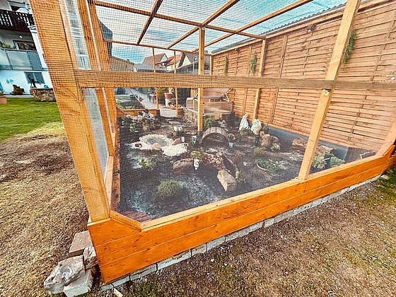 Holzgehege mit Pflanzen und Steinen im Garten, umgeben von Wiese und Gebäuden.