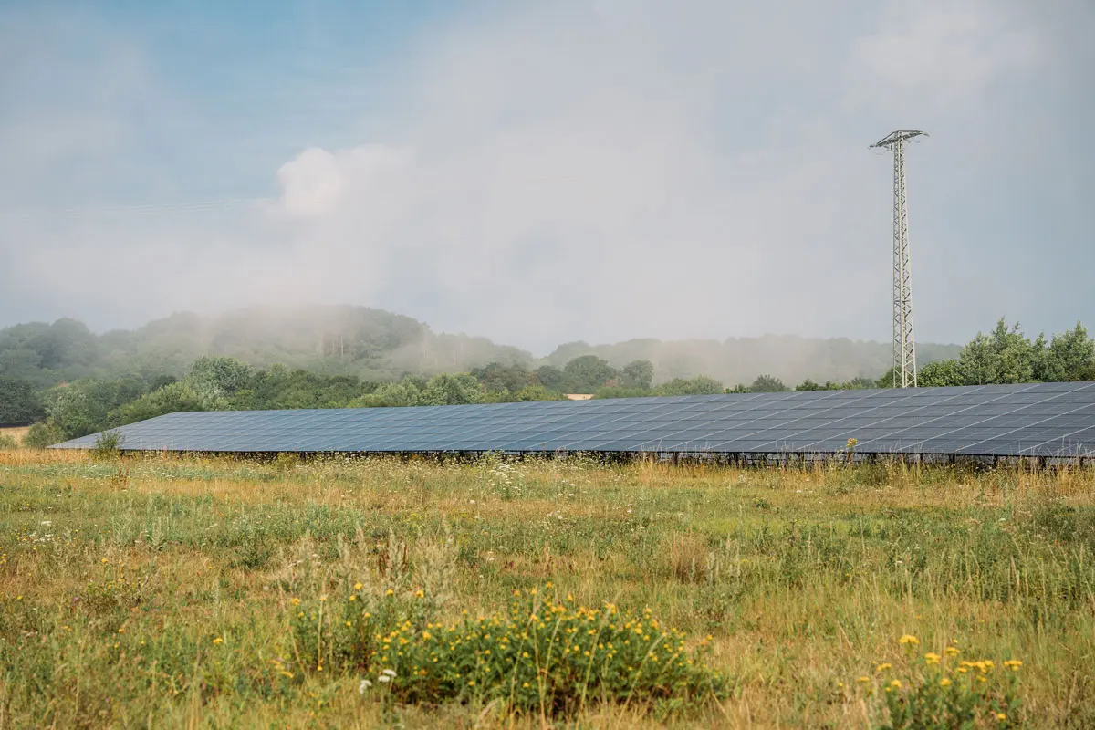 Weite Wiese mit Solarpanelen im Vordergrund, umgeben von Bäumen und leichtem Nebel. Himmel mit Wolken.