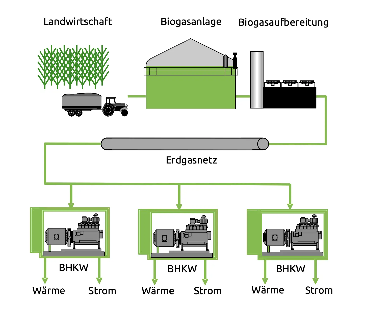 Diagramm zur Biogasnutzung in der Landwirtschaft mit Energiefluss zu Blockheizkraftwerken und Erdgasnetz.