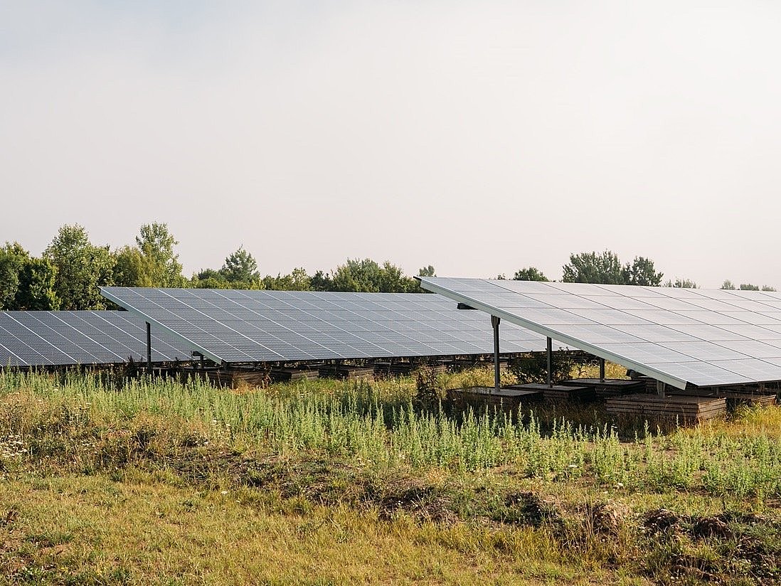 Große Photovoltaikanlage auf einem Feld mit grüner Vegetation und Bäumen im Hintergrund unter hellem Himmel.