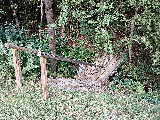 Ein schmaler, ungesicherter Holzsteg über einen kleinen Bach im Wald, umgeben von Bäumen und Farnen.