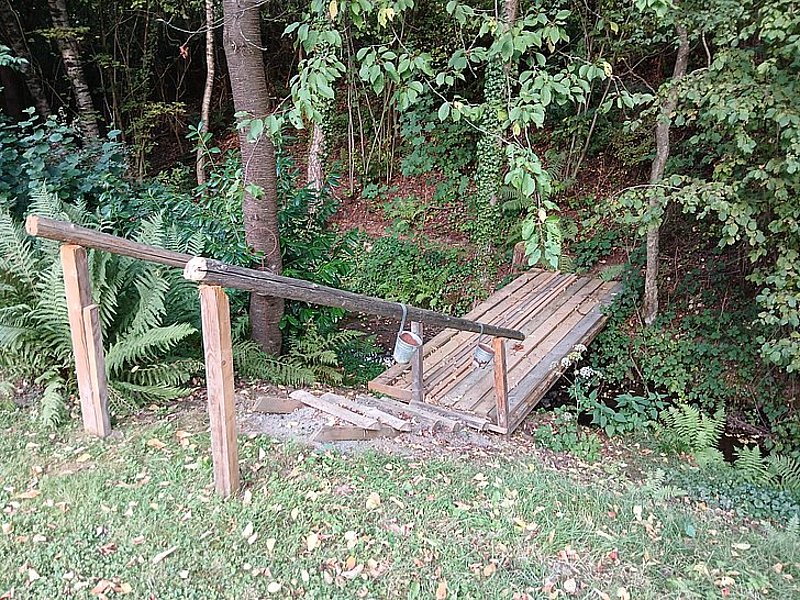 Ein schmaler, ungesicherter Holzsteg über einen kleinen Bach im Wald, umgeben von Bäumen und Farnen.