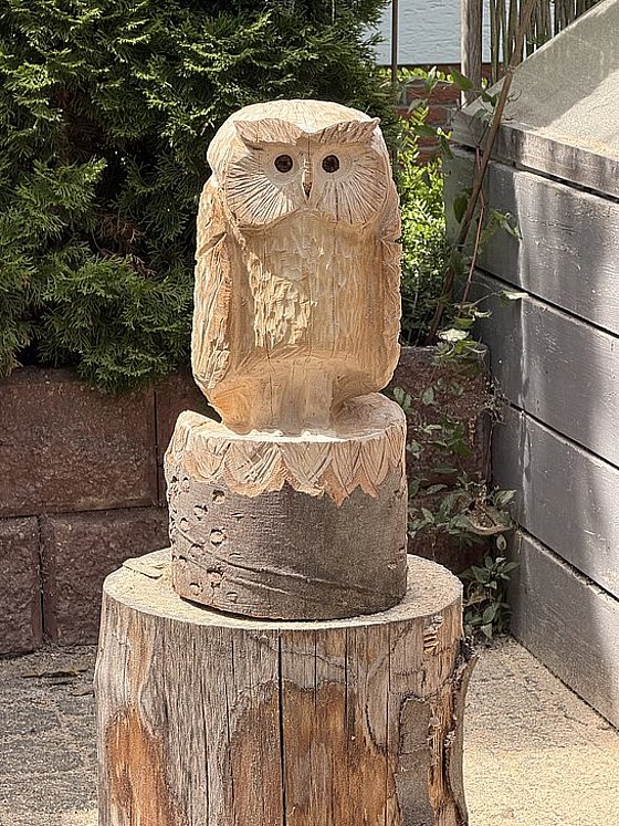 Holzskulptur einer Eule auf einem Holzstamm, umgeben von Pflanzen und einem modernen Zaun.