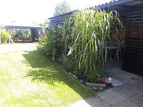 Grüner Gartenbereich mit hohen Pflanzen, gepflastertem Weg und einem überdachten Sitzbereich im Hintergrund.