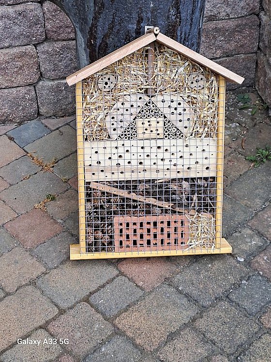 Insektenhotel mit verschiedenen Materialien zur Förderung der Biodiversität, auf einem gepflasterten Boden aufgestellt.