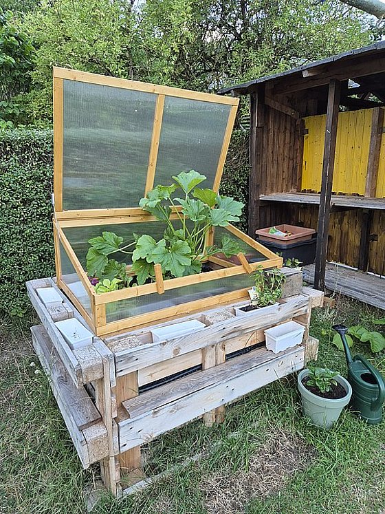 Ein Holzhochbeet mit einem geöffneten Frühbeetkasten, bepflanzt mit verschiedenen Pflanzen. Im Hintergrund eine Gartenhütte.