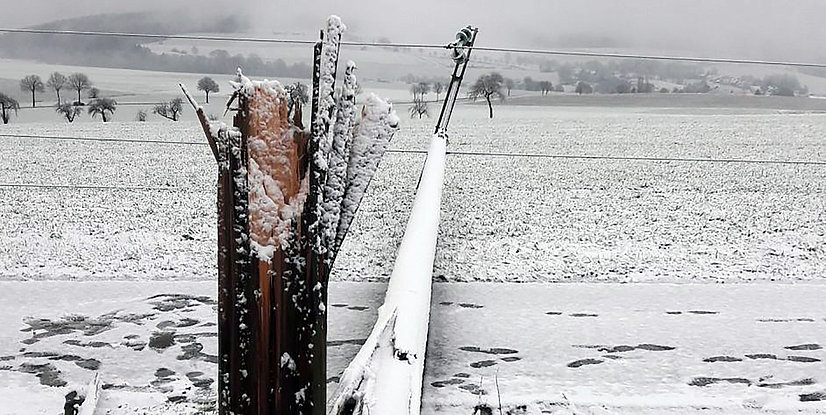 Ein umgeknickter Strommast in einer verschneiten Landschaft mit Bäumen im Hintergrund.