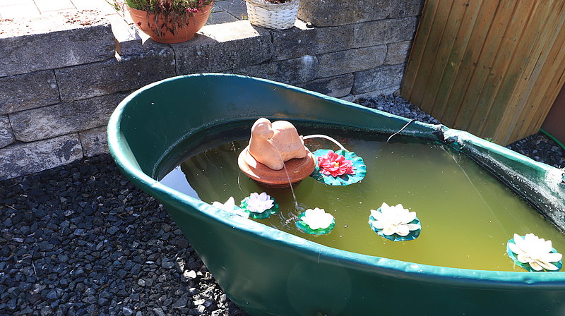 Ein kleiner Terrakottahase sitzt auf einer Schale in einem grünen Wasserbecken, umgeben von künstlichen Seerosen.