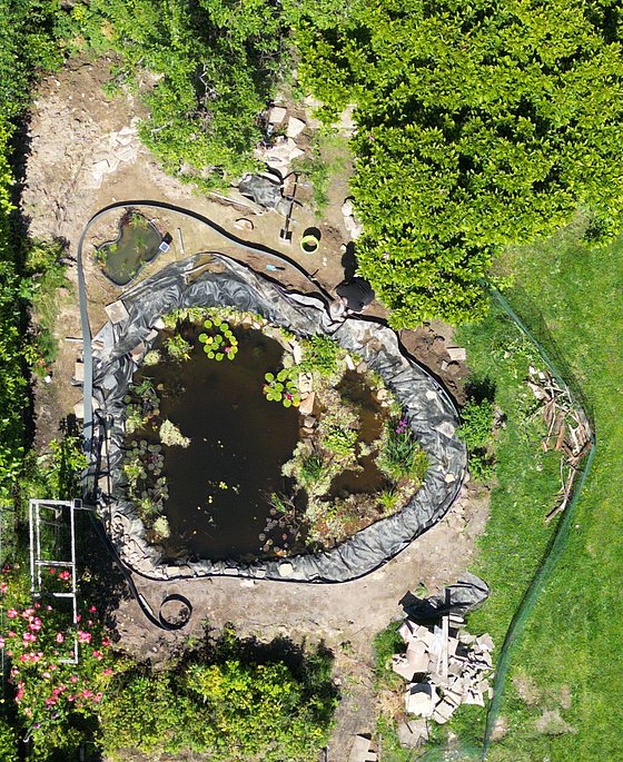 Obenansicht eines Gartenteichs mit Wasserpflanzen, umgeben von Bäumen und Steinen. Werkzeuge und Materialien am Rand sichtbar.