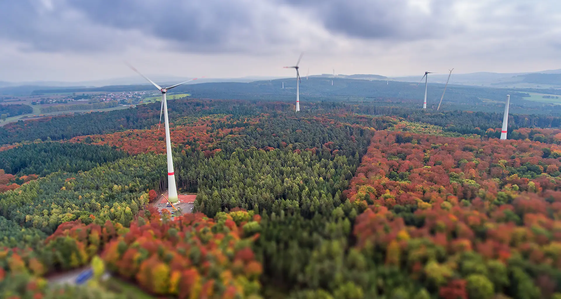 Luftaufnahme eines herbstlichen Waldes mit Windkraftanlagen im Hintergrund und einem bewölkten Himmel.