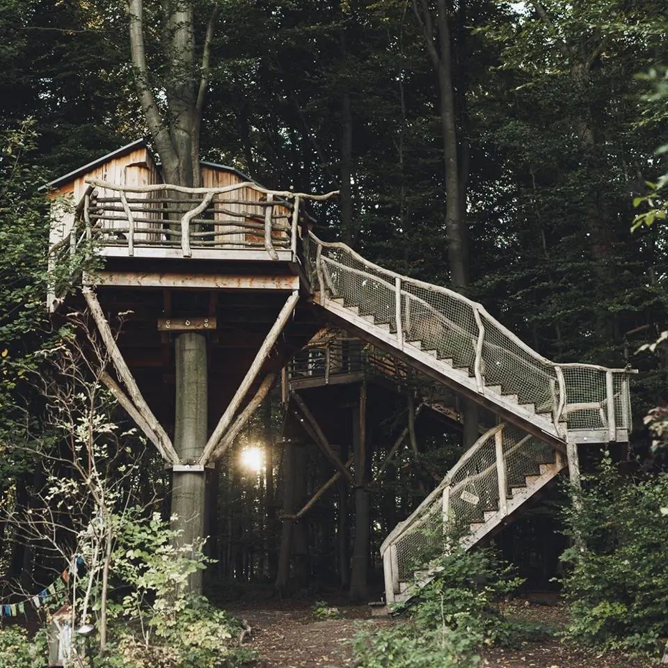 Ein Baumhaus auf Stelzen mit einer Holztreppe, umgeben von Bäumen und einem sanften Lichtschein im Hintergrund.