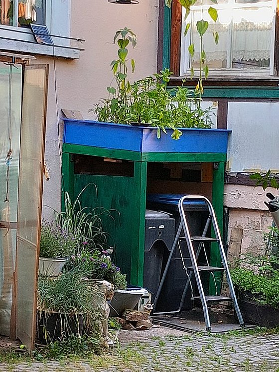 Grüner Unterschrank mit blauer Blumenkiste, Leiter daneben, umgeben von Pflanzen und Blumen.