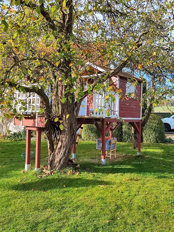 Blick auf ein rotes Baumhaus, das in einem großen Baum in einem grünen Garten steht, umgeben von bunten Blättern im Herbst.