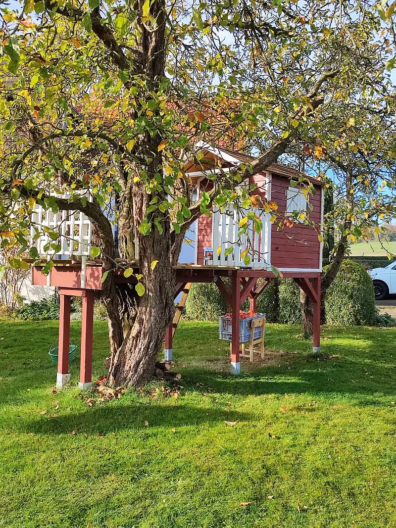 Blick auf ein rotes Baumhaus, das in einem großen Baum in einem grünen Garten steht, umgeben von bunten Blättern im Herbst.