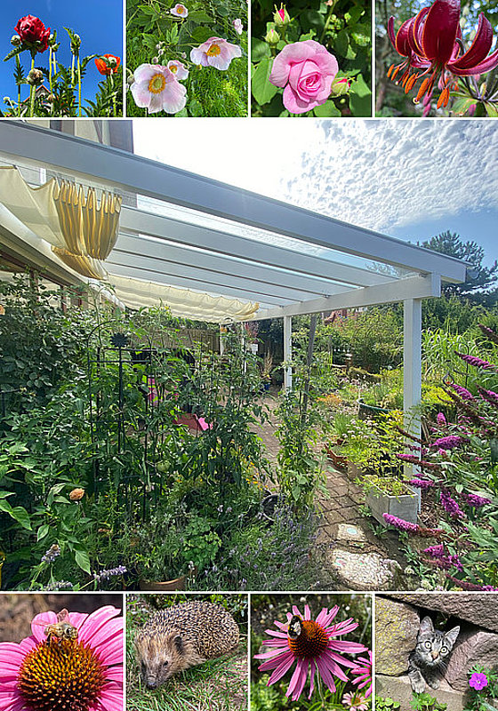Blühende Pflanzen und ein gepflasterter Gartenweg unter einem überdachten Bereich mit Sonnenstrahlen und Wolkenhimmel.