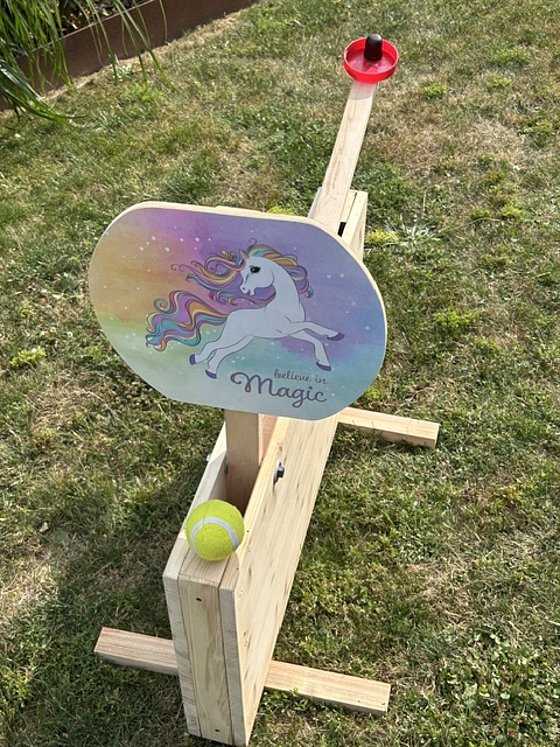 Holzspielzeug mit einem Regenbogen-Einhorn-Schild und einem Tennisball auf einer Wiese.