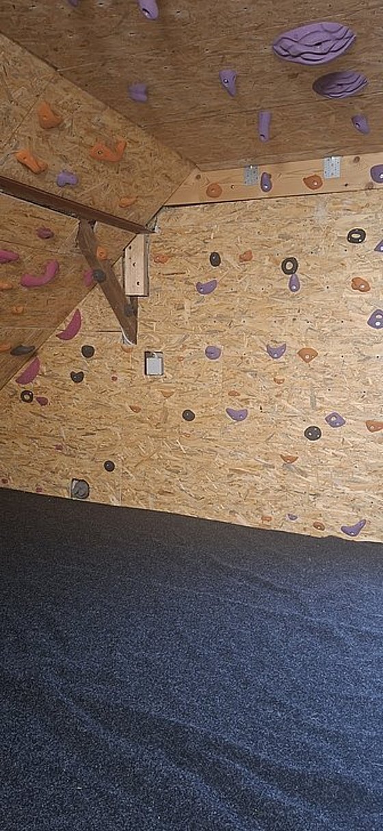 Kletterwand mit unterschiedlichen Griffen in lila, orange und schwarz auf Holzpanel, darunter ein schwarzer Bodenbelag.