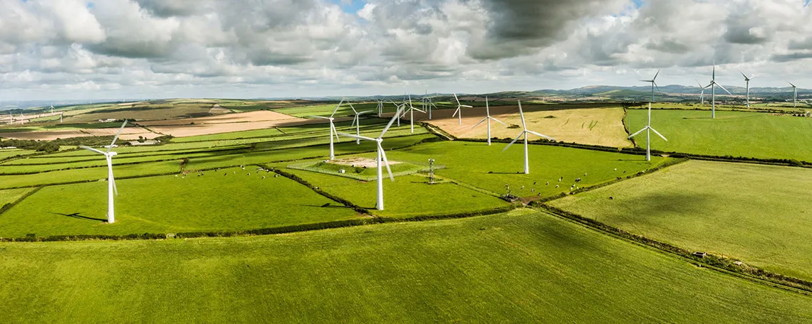 Landschaft mit Windkraftanlagen auf grünen Feldern unter bewölktem Himmel, ländliche Umgebung mit Tieren.