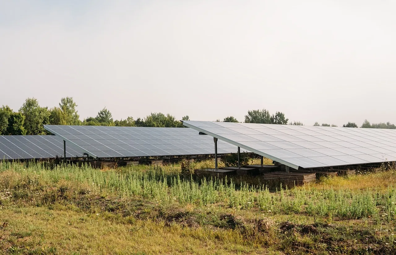  Große Photovoltaikanlage auf einem Feld mit grüner Vegetation und Bäumen im Hintergrund unter hellem Himmel.