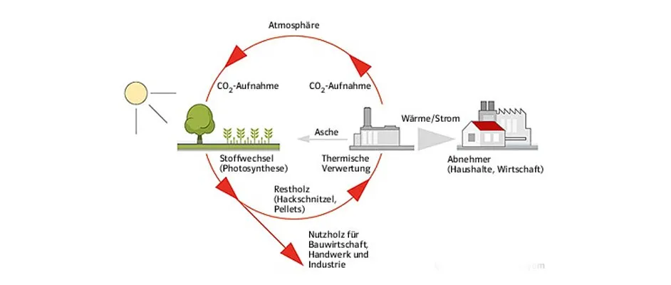 Diagramm zum Kohlenstoffkreislauf mit Prozessen wie Photosynthese, thermischer Verwertung und Holzverwendung in Wirtschaft und Industrie.
