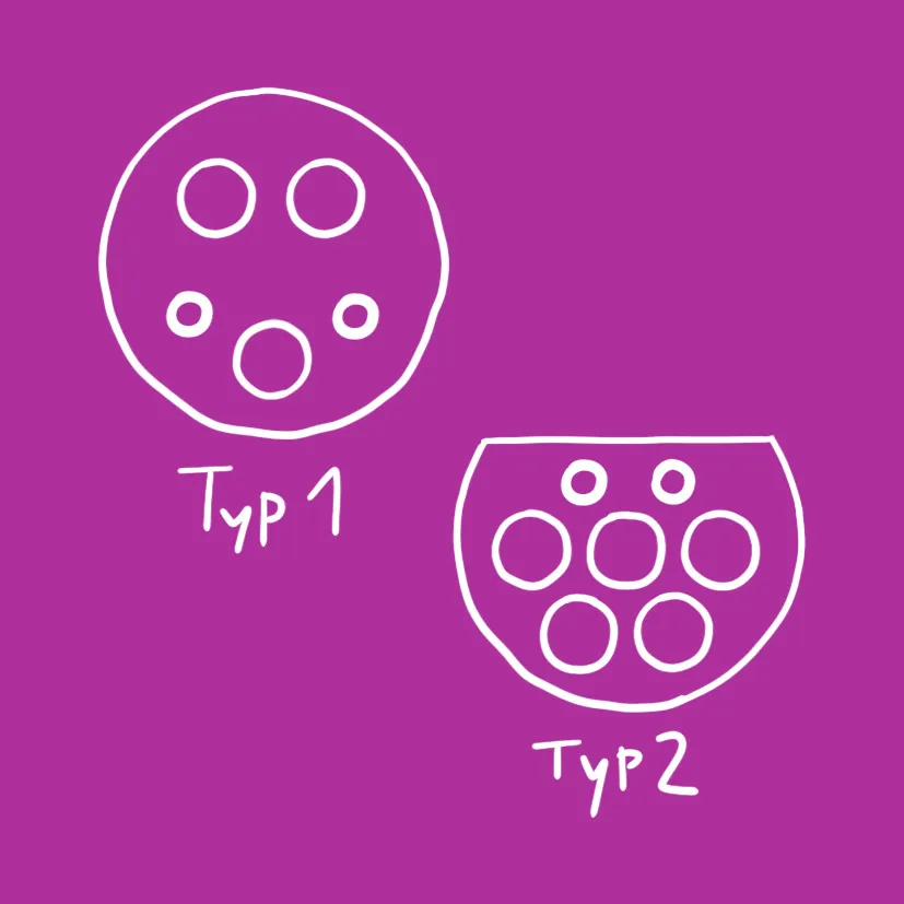 Illustration von zwei Typen, Typ 1 und Typ 2, angezeigt auf lila Hintergrund. Typ 1 hat drei Kreise, Typ 2 sechs Kreise.