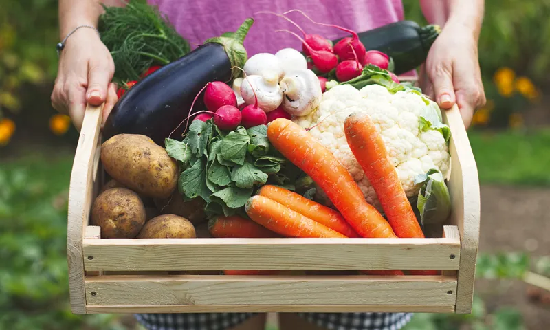 Eine Person hält eine Holzkiste voller frischer Gemüse wie Karotten, Blumenkohl, Auberginen, Radieschen und Kartoffeln.
