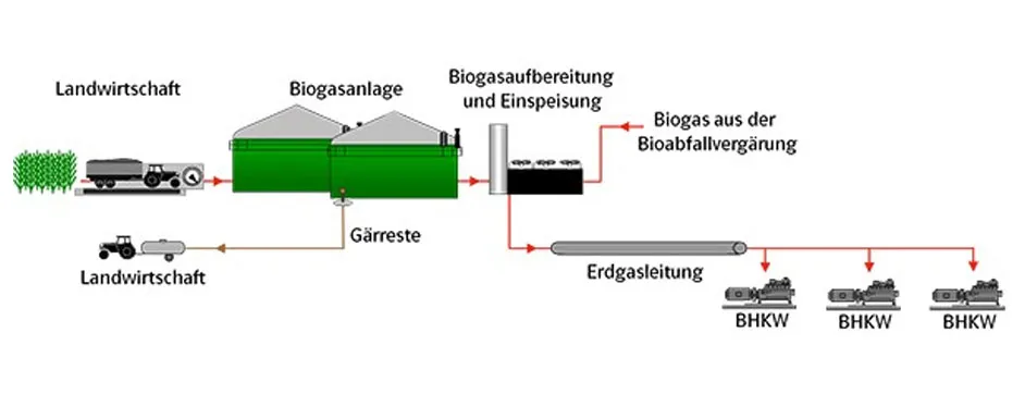 Diagramm eines Biogasanlage-Prozesses mit Landwirtschaft, Biogasaufbereitung und Erdgasleitung zu BHKWs.