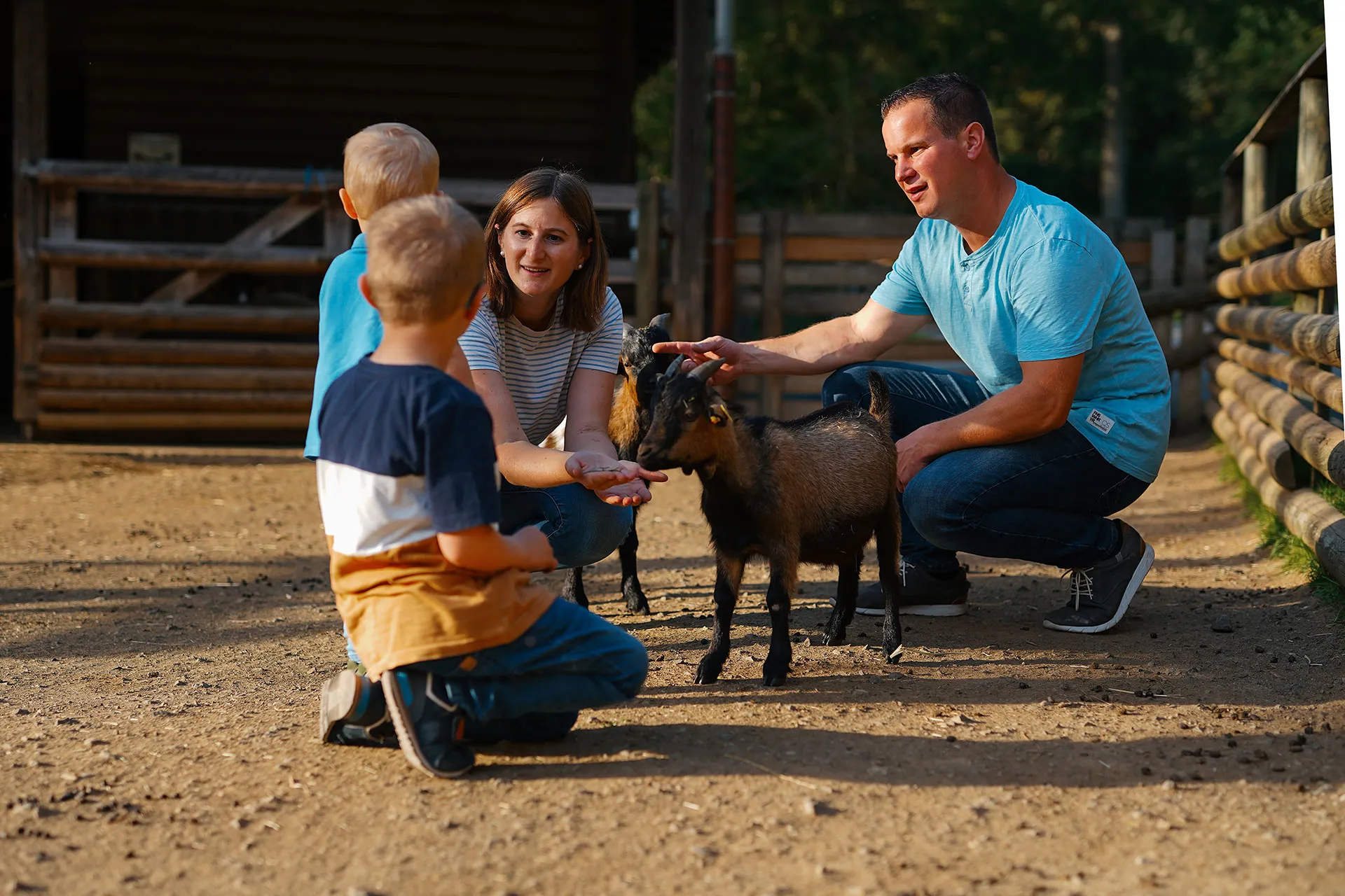 Familie mit zwei Kindern füttert Ziegen auf einem Bauernhof bei Sonnenlicht.