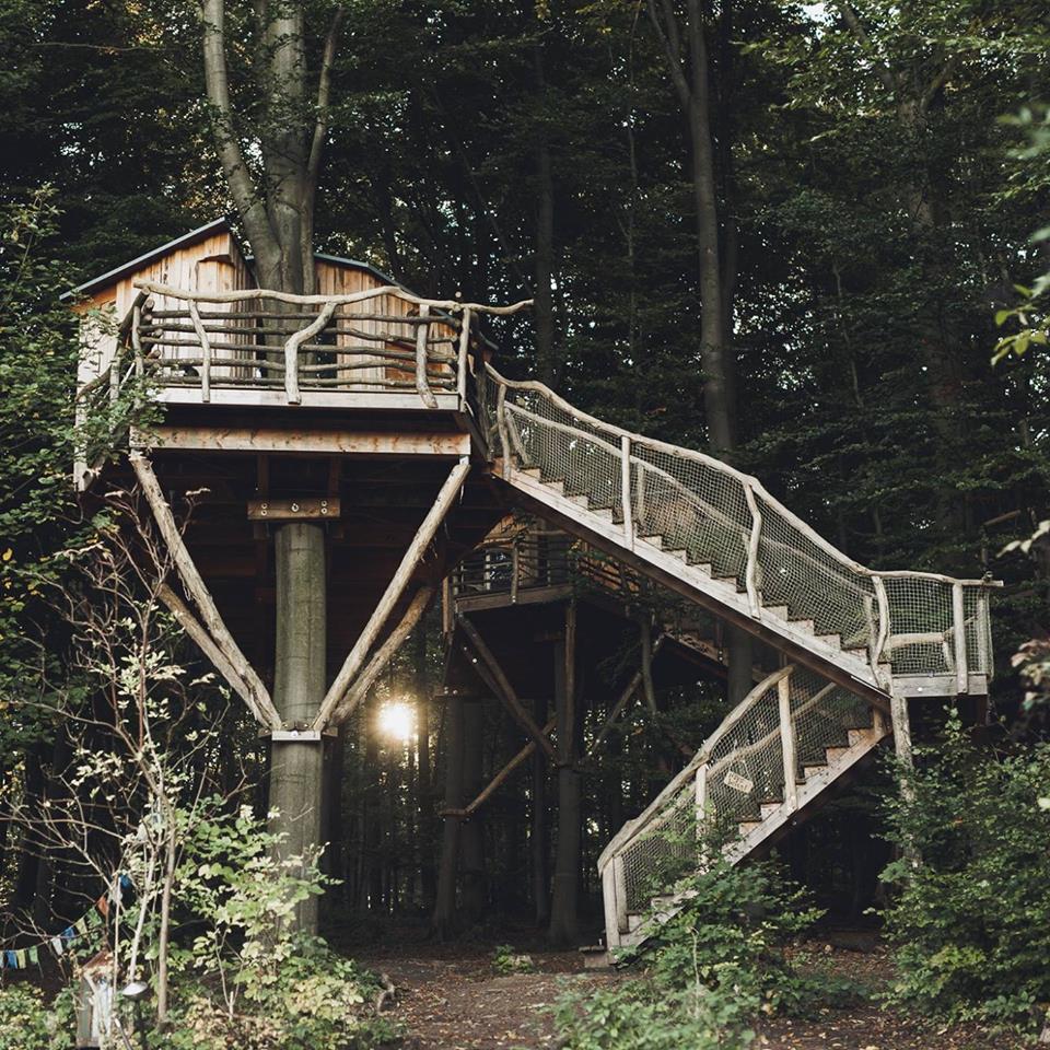 Ein Baumhaus auf Stelzen mit einer Holztreppe, umgeben von Bäumen und einem sanften Lichtschein im Hintergrund.