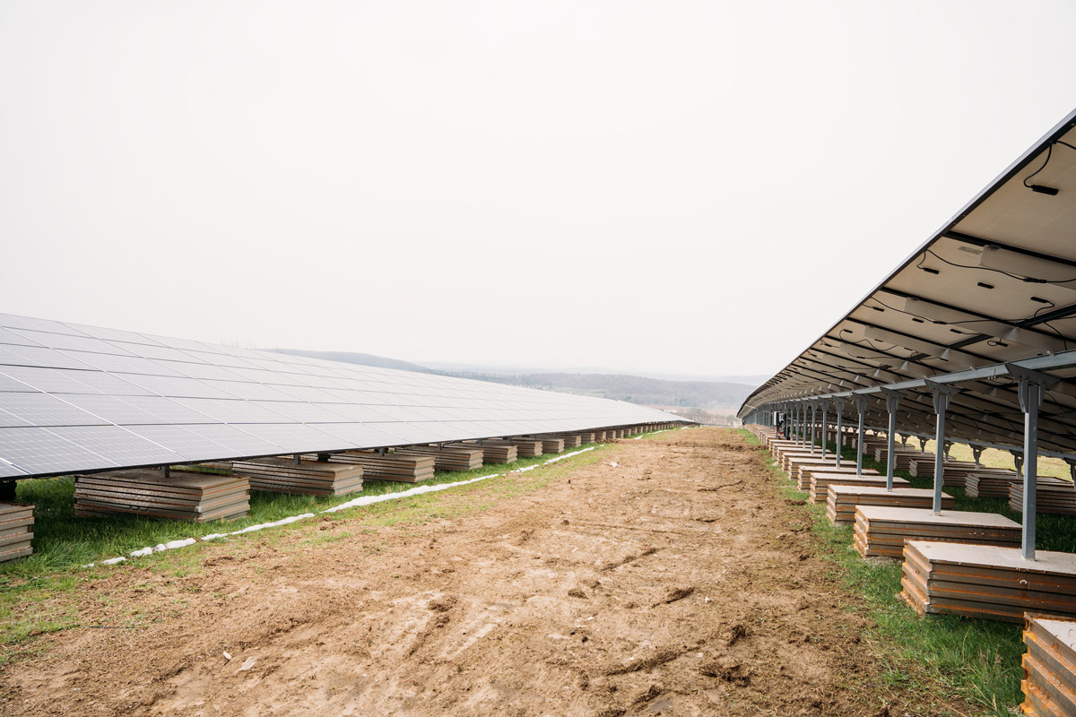 Solaranlage mit mehreren Photovoltaik-Paneelen auf einer Wiese, umgeben von Gras und Erdboden.