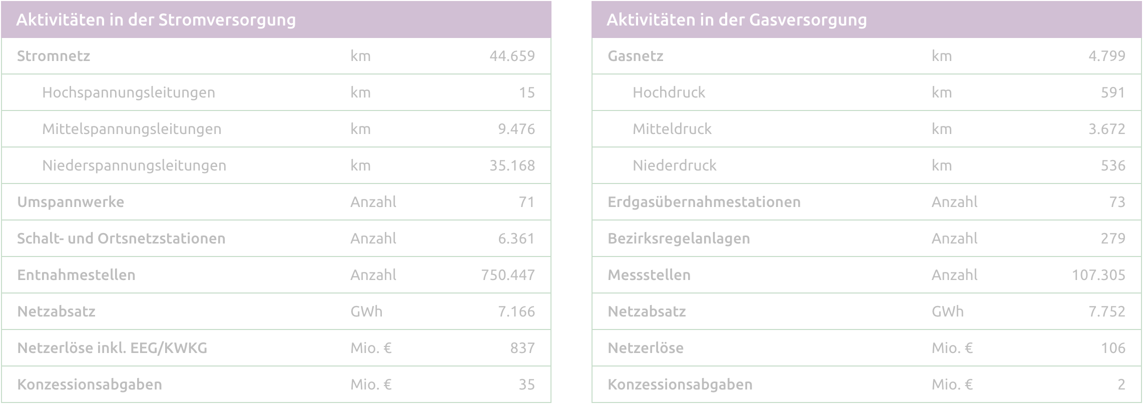 Tabelle mit Aktivitäten in der Strom- und Gasversorgung, einschließlich Kilometer und Anzahl der Einrichtungen.