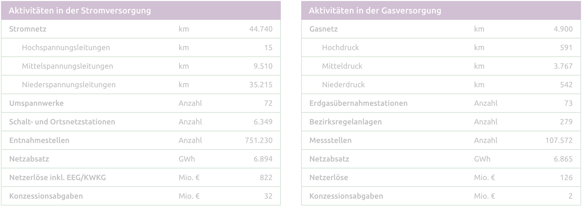 Tabelle mit Aktivitäten in der Strom- und Gasversorgung, einschließlich Netzlängen, Anzahl der Einrichtungen und finanziellen Kennzahlen.