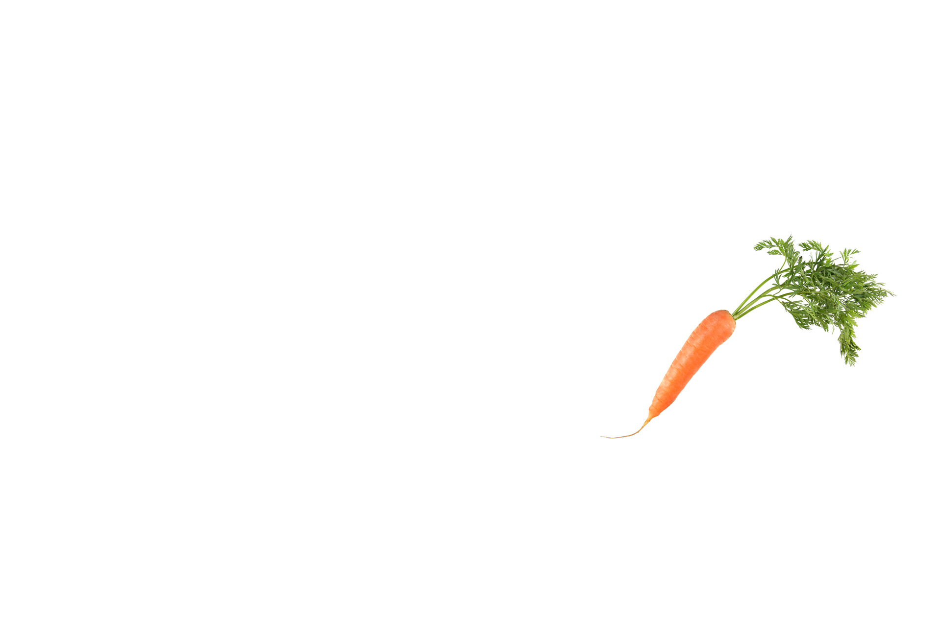 Eine frische, orangefarbene Karotte mit grünen Blättern auf einem weißen Hintergrund.