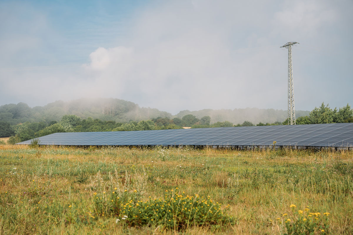 Weite Wiese mit Solarpanelen im Vordergrund, umgeben von Bäumen und leichtem Nebel. Himmel mit Wolken.