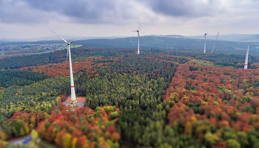 Windpark im Wald