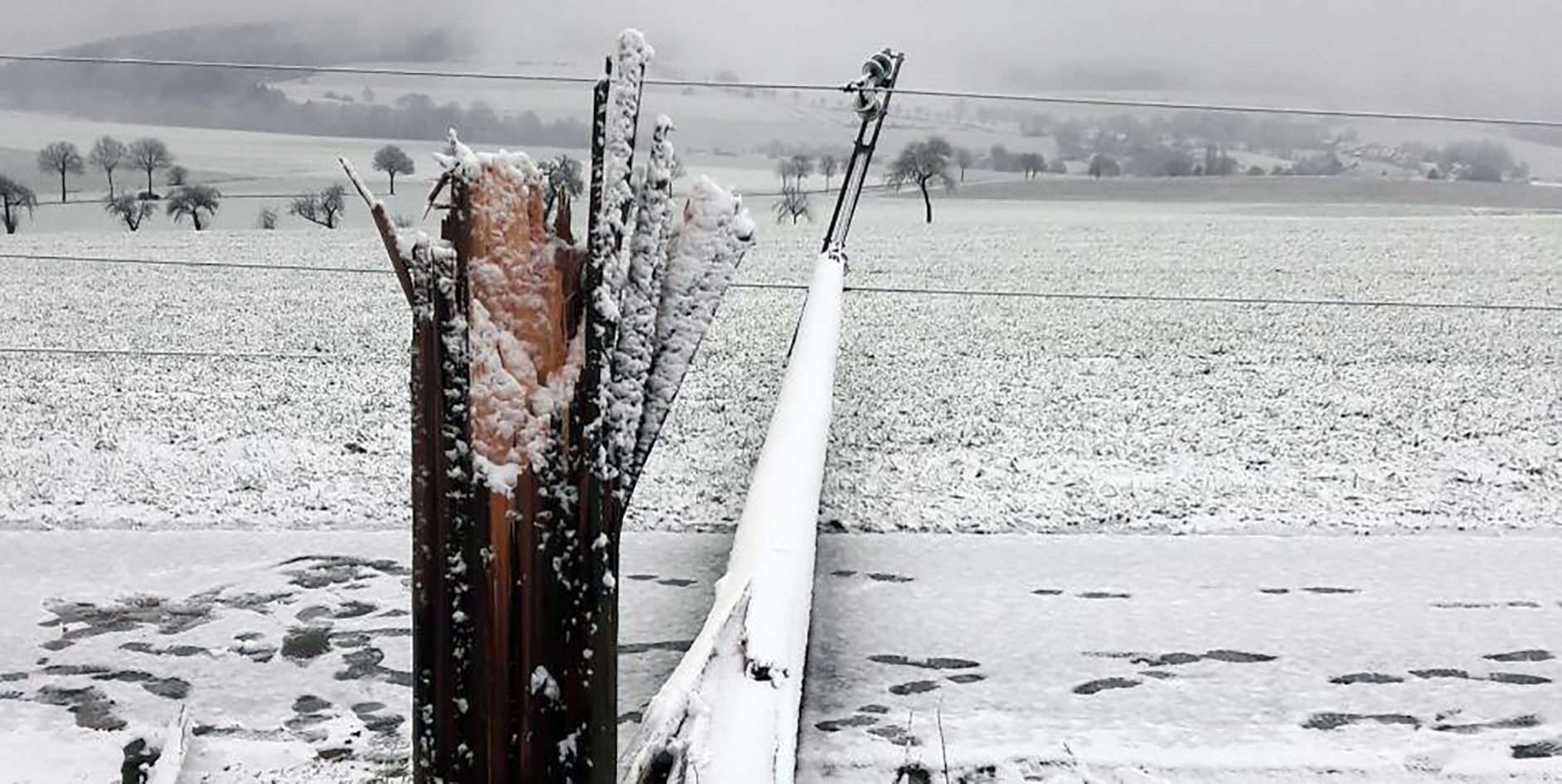 Ein umgeknickter Strommast in einer verschneiten Landschaft mit Bäumen im Hintergrund.