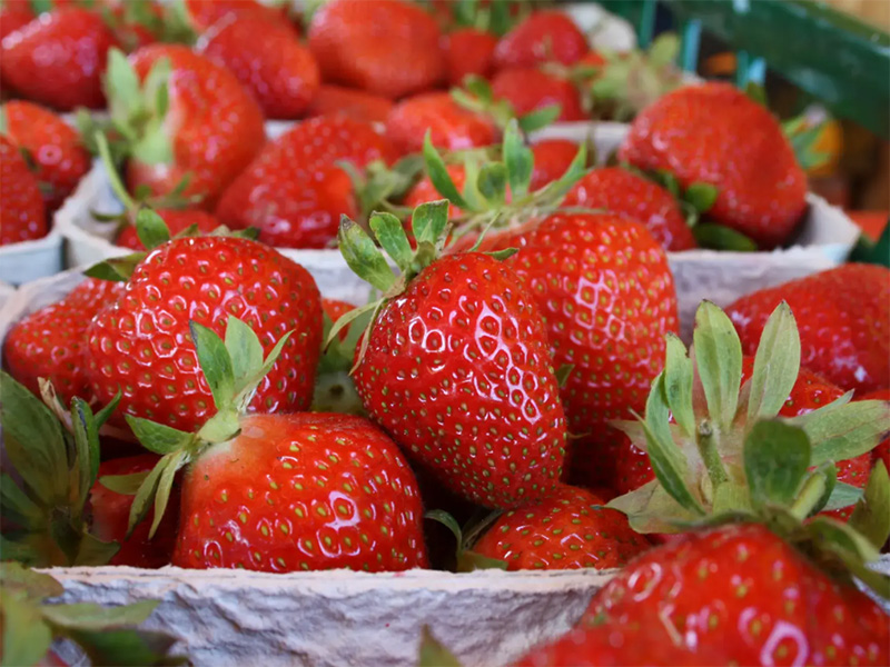 Frische, rote Erdbeeren in Pappschalen, üppig angeordnet, mit grünen Blättern.