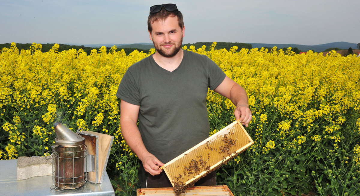 Mann in T-Shirt hält eine Wabe mit Bienen vor einem Rapsfeld, im Hintergrund blühen gelbe Rapsblüten.