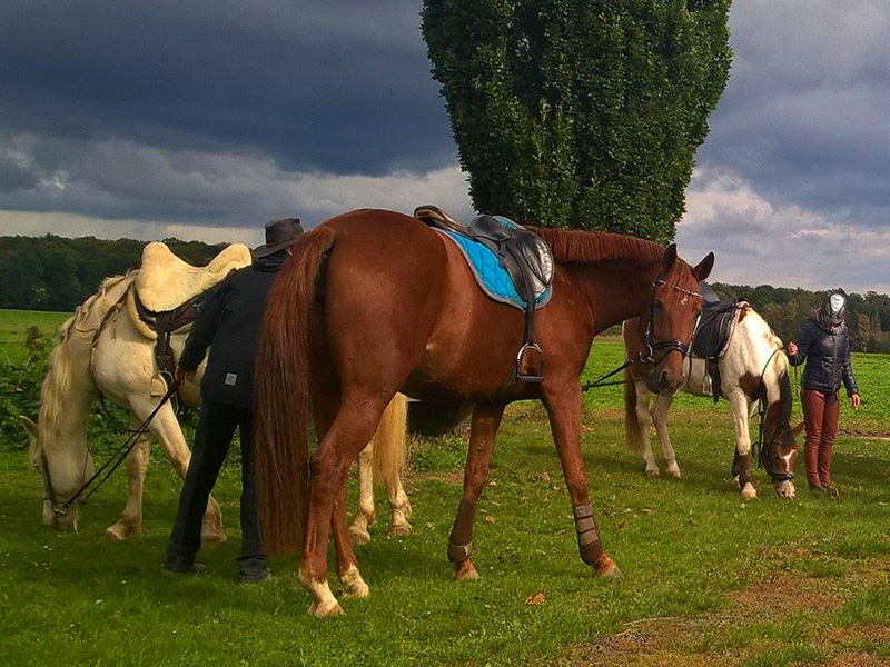 Drei Pferde mit Reiterin auf einer Wiese unter einem bewölkten Himmel, während eine Person ein Pferd striegelt.