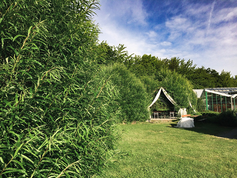 Gartenlandschaft mit hohen Sträuchern, einem Sitzbereich unter einem Vordach und einem Gewächshaus im Hintergrund.