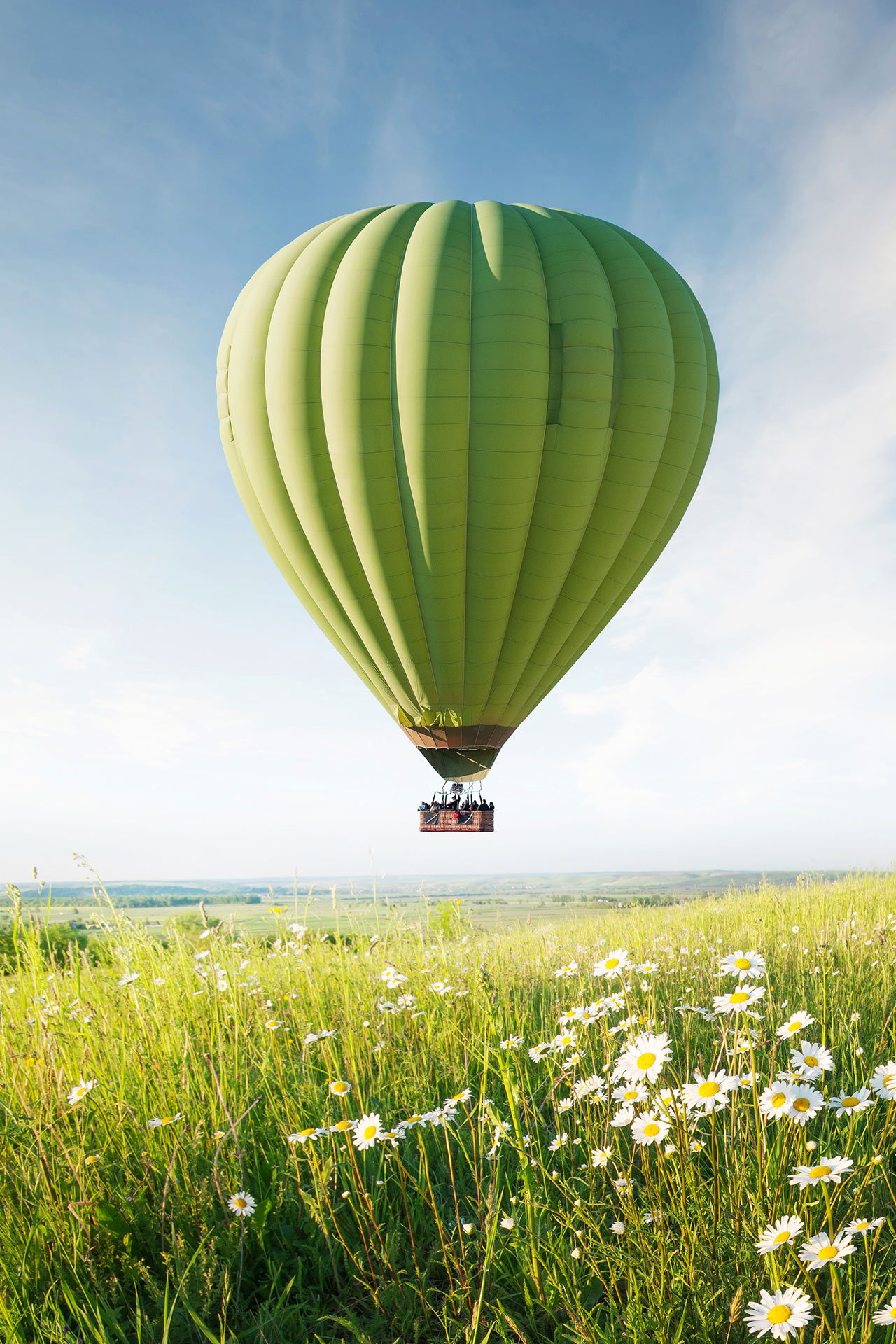Heißluftballon schwebt über einer Wiese mit wilden Blumen unter einem klaren Himmel.