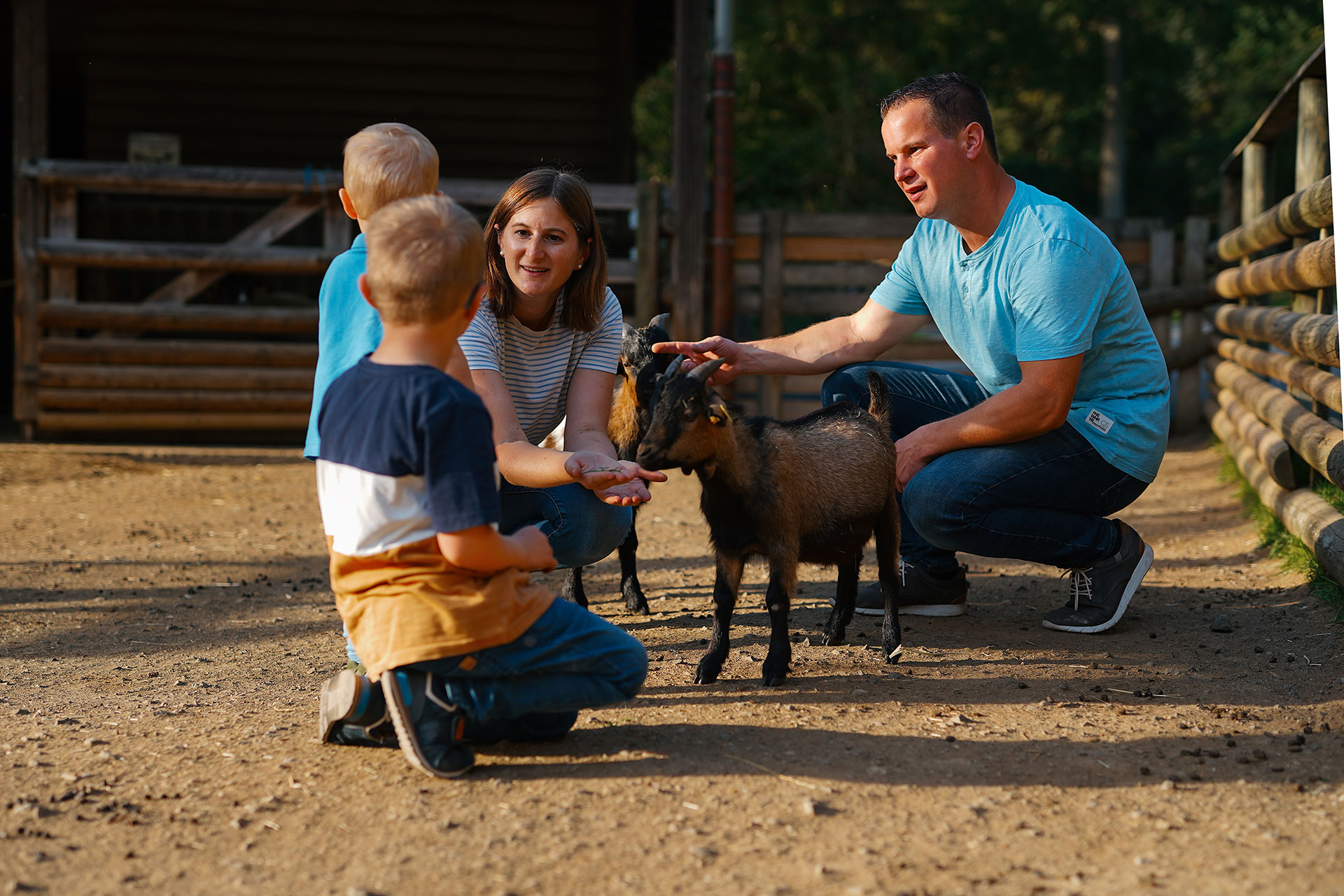 Familie mit zwei Kindern füttert Ziegen auf einem Bauernhof bei Sonnenlicht.
