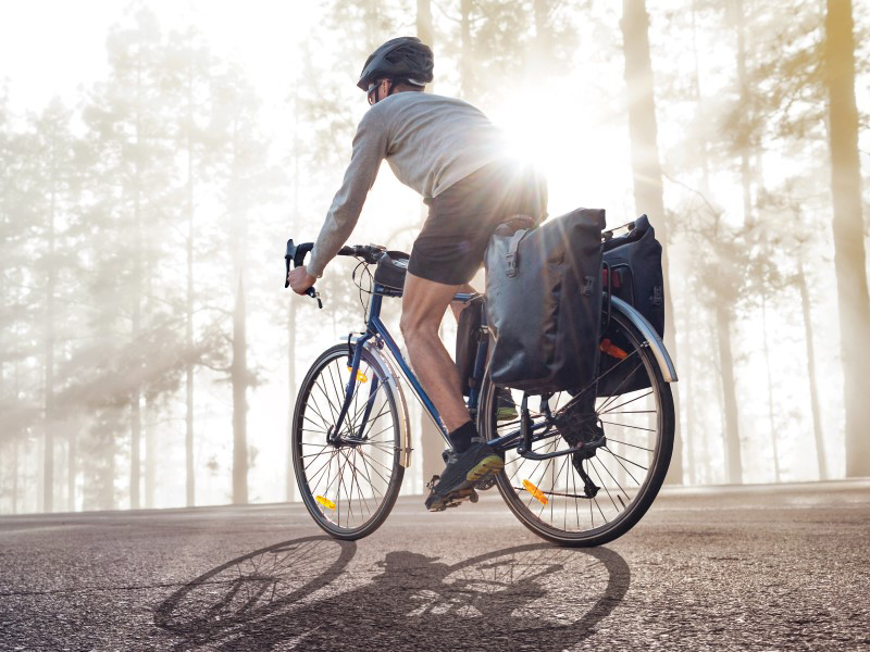 Radfahrer auf einer Straße, umgeben von Bäumen im Nebel, bei Sonnenaufgang.