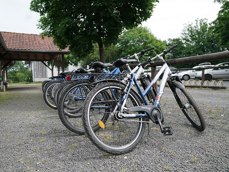 Eine Reihe von neun Fahrrädern steht auf einem Kiesplatz unter Bäumen, im Hintergrund sind Autos und ein Gebäude sichtbar.