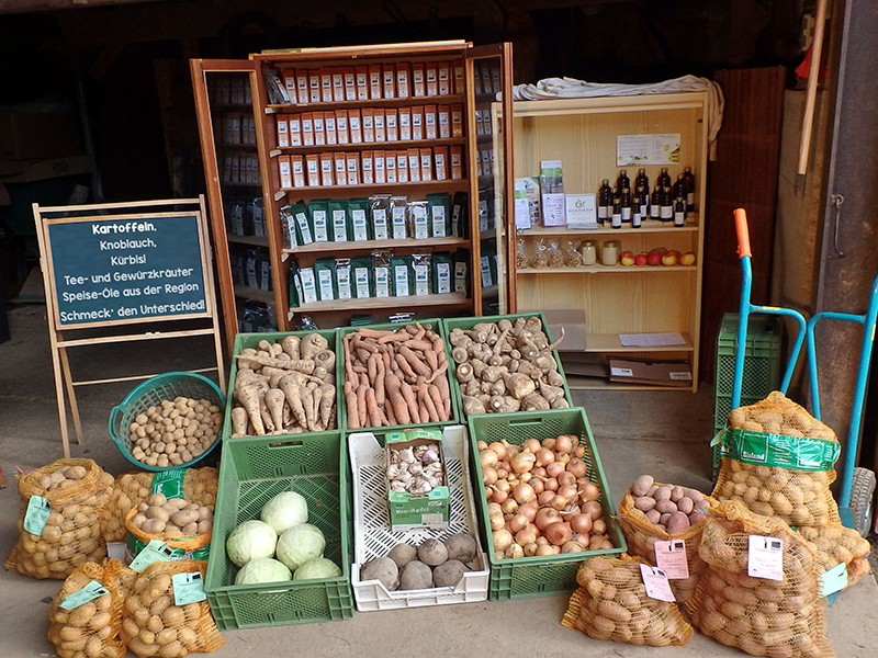 Marktstand mit regionalen Lebensmitteln: Kartoffeln, Knoblauch, Kürbis und Gewürzen in Körben und Kisten.