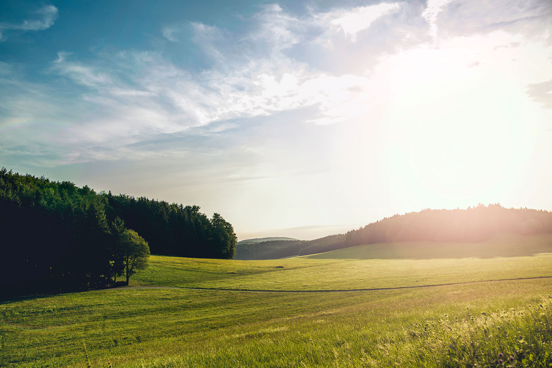 Weite Wiesenlandschaft mit grünen Feldern, Baumgruppe und bewaldetem Horizont unter einem blauen Himmel mit Wolken.