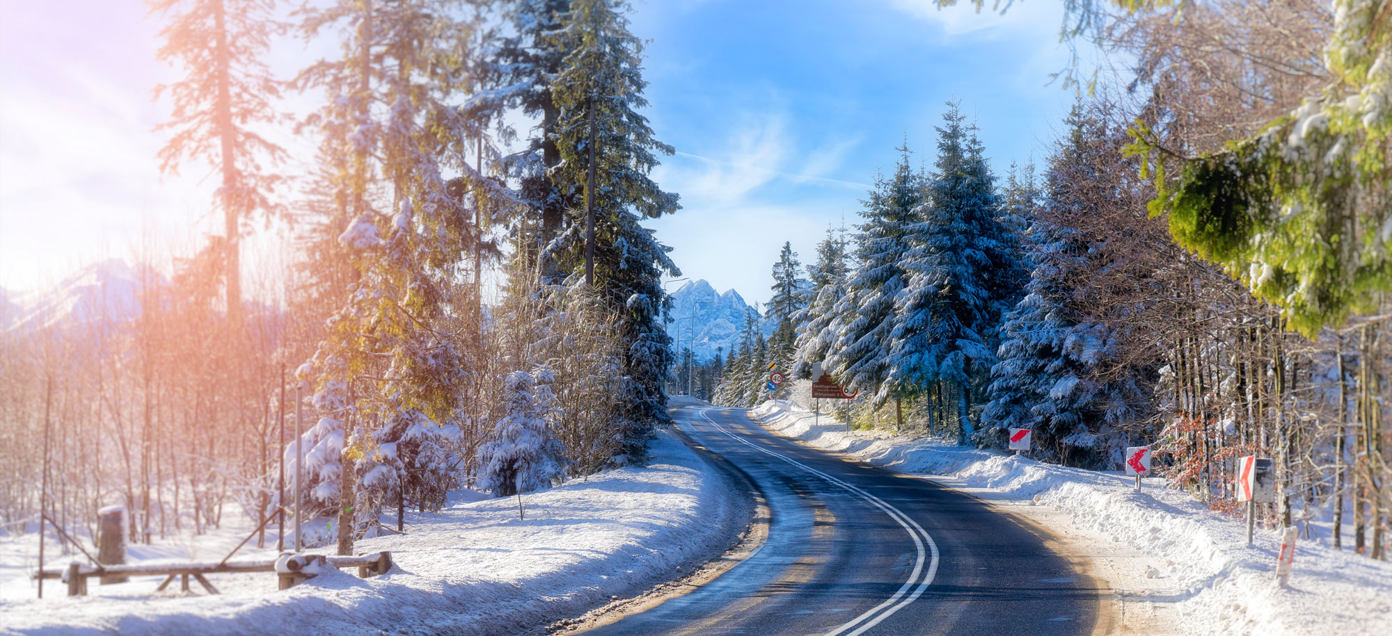 Winterliche Landschaft mit schneebedecktem Weg, umgeben von Nadelbäumen und Bergen im Hintergrund.